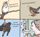 birds1.png