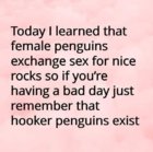 hooker.jpg