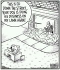 dogbusiness.jpeg