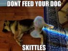 skittles.jpg