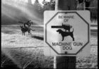 machine gun dog.jpeg