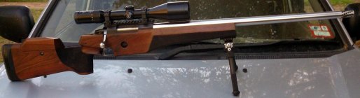 tikkaM595 (1).JPG