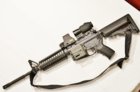 Colt 6920.JPG