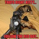 follow the red dot.jpg