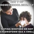chloroform.jpg