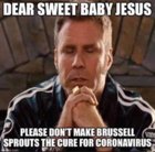 burssel sprouts.jpg