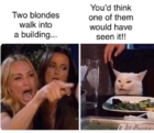 2 blondes.png