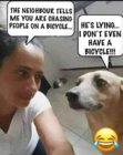 bicycle.jpeg