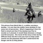 Jackass...Perfect....jpg Jackass...Perfect....jpg