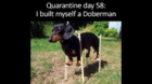 C7557462-7D6F-4194-8597-A12D3333E714.png