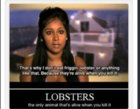lobsters.jpg