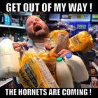 hornest coming.jpeg