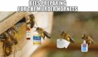 bees.jpg