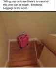 baggage.jpeg