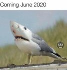 C3C5FED5-729D-4120-978D-0860153C0CA3.jpeg