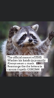 IMG953886.png