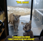 mom.png