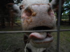 DSCN5435.JPG