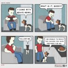 chiken.jpg