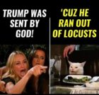locusts.jpg