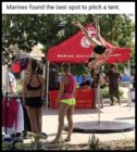 tumblr_72704ab046191d07ec945cdaf7b8b82a_ad845451_1280.jpg