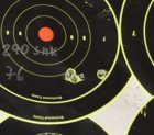 300WM-240smk-76-RL33.jpg