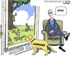 Dog Covid.jpg