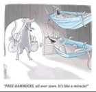 hammick.jpg