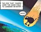 moo.jpeg