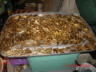 Web Uploads 010.JPG Web Uploads 010.JPG