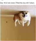 thumbnail_Day 18.jpg