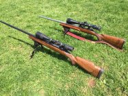 Pair of Coopers.JPG