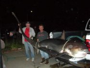 Thresher IMG_154536575939714.jpeg