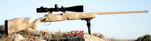 precision long range rifle-11-1.jpeg