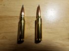 20200528_154348Bullet shape comp..jpg