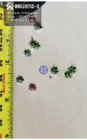 Ballistic-X-Export-2020-05-24 08:06:14.603344_copy_600x965.png