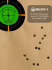 Ballistic-X-Export-2020-06-01 12:16:33.093633.png