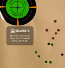 Ballistic-X-Export-2020-06-01 12:17:57.466422.png