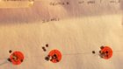 20200611_202930.jpg