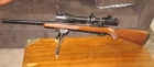 CZ527M1_walnut.JPG