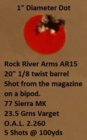 AR15  77 grn SMK 100yd Grp.jpg
