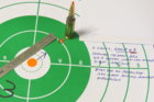 target, 6.5CM.JPG