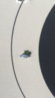 29283436-FF31-4477-B3F0-6D0582AC63AF.png