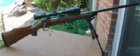 _DSC1984.NEF.tif.jpg