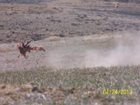 IMG_0243.JPG