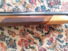 22-250FN3.jpg