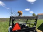 IMG_0932.jpeg