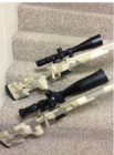 Gradous Twin Rifles.PNG