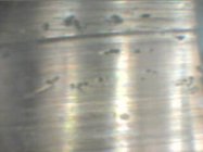 PICT0031.JPG