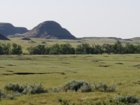 20200708_084730.jpg